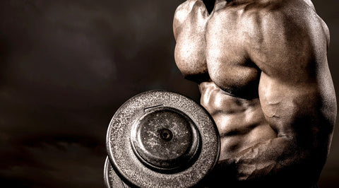 Weights, Bars & Racks Dumbell Barbell Slam Medicine Wall Ball Nairobi Mombasa Nakuru Eldoret Kenya