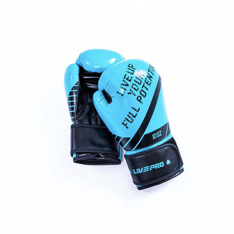 Boxing Gloves and Wraps
