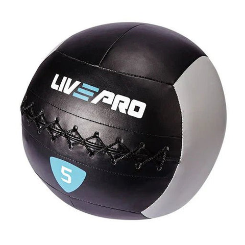 Gym Exercise Wall Ball - Afrofit GymStore