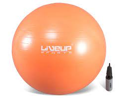 Swiss Stability Gym Exercise Balls