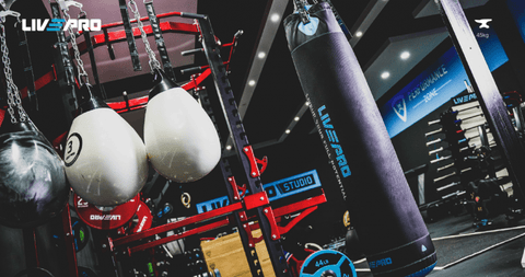 BOXING PUNCHING BAG PROFESSIONAL LIVEPRO 45KG - LP8602 - Afrofit GymStore