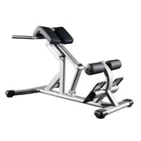 Commercial Gym Hyper Extension Roman Chair / Back Extension Machine - Afrofit GymStore