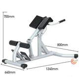 Commercial Gym Hyper Extension Roman Chair / Back Extension Machine - Afrofit GymStore