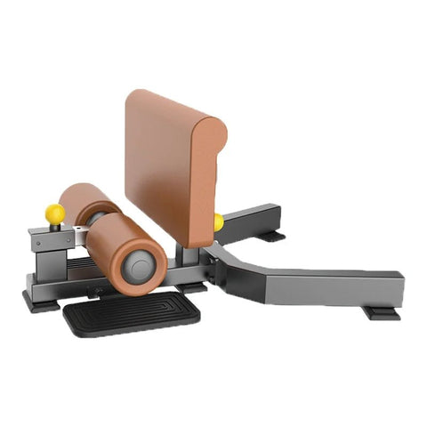 Commercial Gym Sit Up Sissy Squat Bench Machine for Muscle Building - Afrofit GymStore