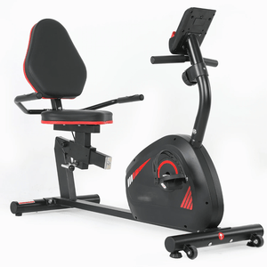 Domestic Home Fitness Exercise Recumbent Bike with Adjustable Magnetic Resistance - Afrofit GymStore