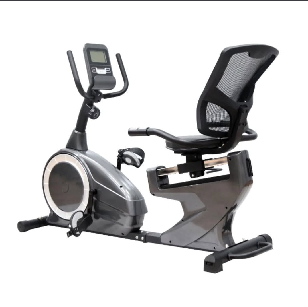 DV EXERCISE DOMESTIC RECUMBENT BIKE - Afrofit GymStore