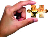 Frank in Africa Wildlife Jigsaw Puzzle for Kids and Adults - Afrofit GymStore