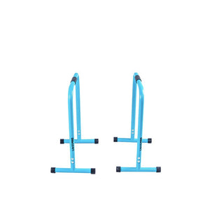LIVEPRO TRAINING CALISTHENIC PARALLETTES PAIR LP8161 - Afrofit GymStore