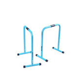 LIVEPRO TRAINING CALISTHENIC PARALLETTES PAIR LP8161 - Afrofit GymStore