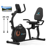 Merach S23B1 Demestic Recumbent Exercise Bike - Afrofit GymStore