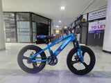 BDF Adjustable Seat 21 Speed Steel Ford Disk Brake Kids Mountain Bike
