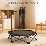 Rebounder Trampoline for Indoor & Outdoor Fitness, Foldable & Compact, Quiet Elastic