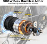 Funhang EB-C2 electric In Built Battery Ecobike