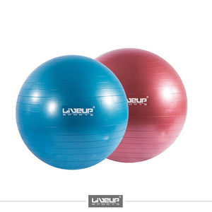 LIVEUP 55CM ANTI BURST SWISS EXERCISE BALL WITH FREE PUMP 800G - Afrofit GymStore